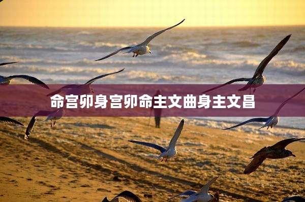 命宫卯身宫卯命主文曲身主文昌