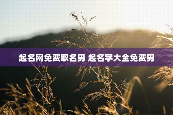 起名网免费取名男 起名字大全免费男