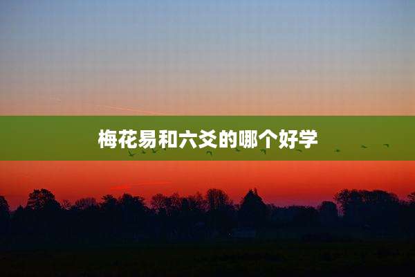 梅花易和六爻的哪个好学