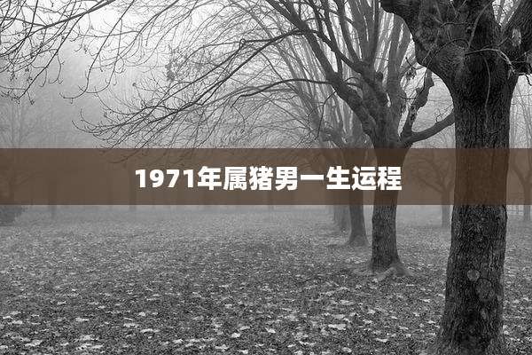 1971年属猪男一生运程
