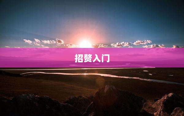 招赘入门