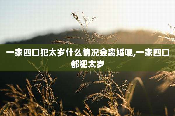 一家四口犯太岁什么情况会离婚呢,一家四口都犯太岁