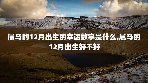 属马的12月出生的幸运数字是什么,属马的12月出生好不好