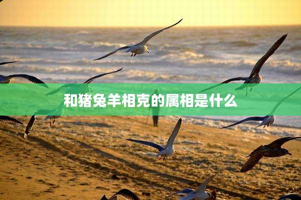 和猪兔羊相克的属相是什么