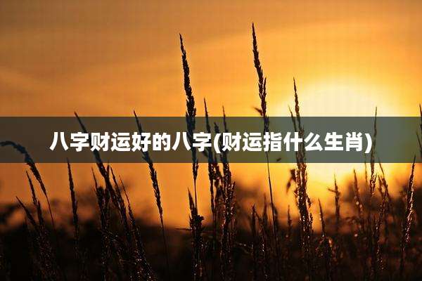 八字财运好的八字(财运指什么生肖)