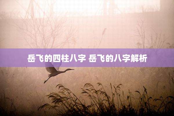 岳飞的四柱八字 岳飞的八字解析
