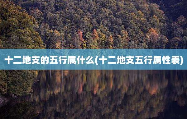 十二地支的五行属什么(十二地支五行属性表)