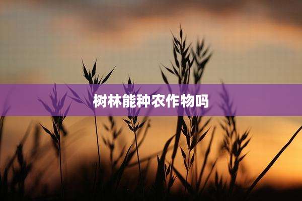 树林能种农作物吗