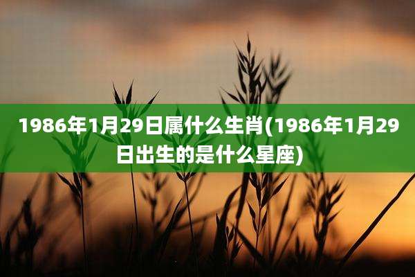 1986年1月29日属什么生肖(1986年1月29日出生的是什么星座)