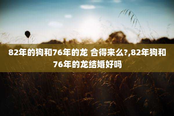 82年的狗和76年的龙 合得来么?,82年狗和76年的龙结婚好吗