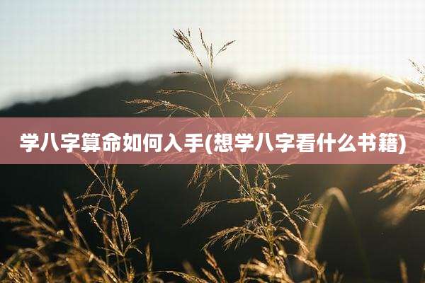 学八字算命如何入手(想学八字看什么书籍)