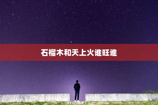 石榴木和天上火谁旺谁