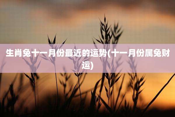 生肖兔十一月份最近的运势(十一月份属兔财运)