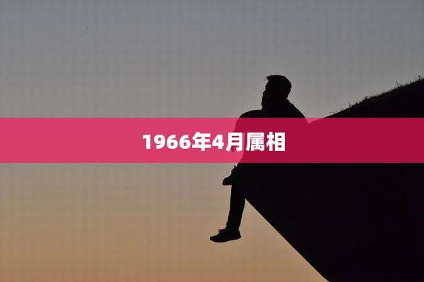 1966年4月属相