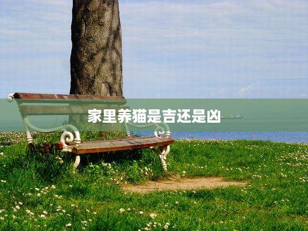 家里养猫是吉还是凶