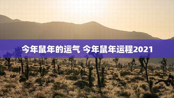 今年鼠年的运气 今年鼠年运程2021