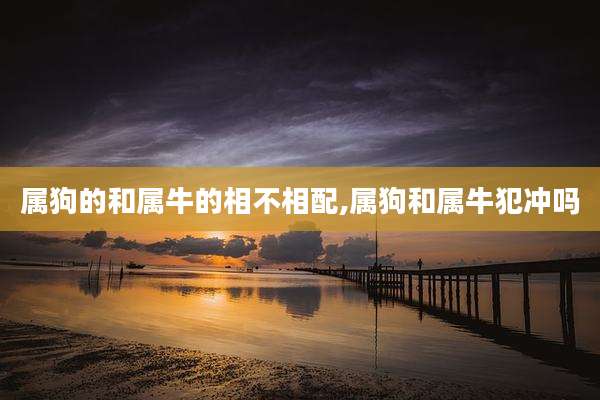 属狗的和属牛的相不相配,属狗和属牛犯冲吗
