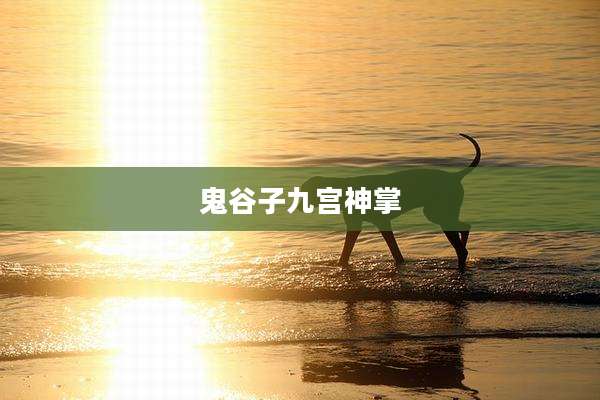 鬼谷子九宫神掌