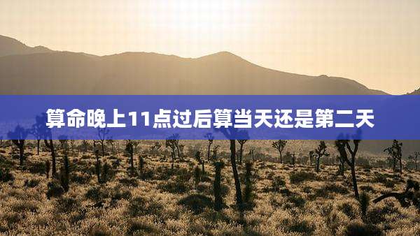 算命晚上11点过后算当天还是第二天