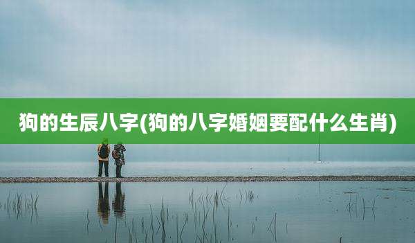 狗的生辰八字(狗的八字婚姻要配什么生肖)