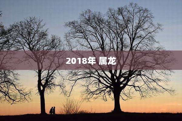 2018年 属龙