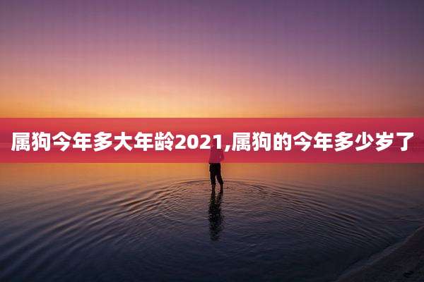 属狗今年多大年龄2021,属狗的今年多少岁了