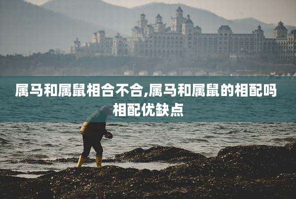 属马和属鼠相合不合,属马和属鼠的相配吗 相配优缺点