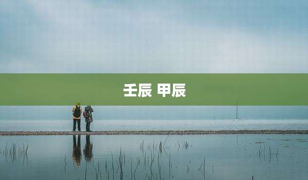 壬辰 甲辰