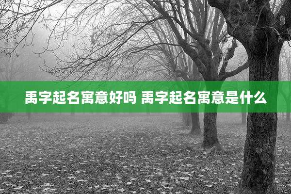 禹字起名寓意好吗 禹字起名寓意是什么