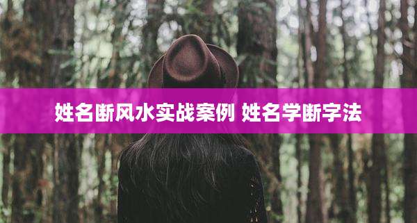 姓名断风水实战案例 姓名学断字法