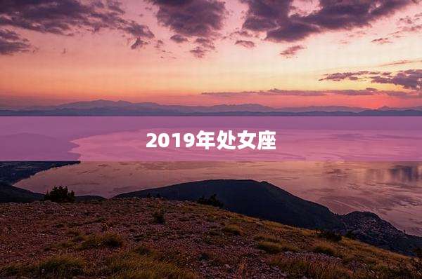 2019年处女座