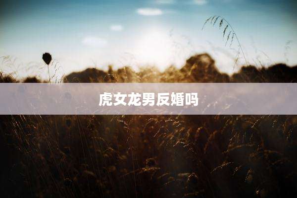 虎女龙男反婚吗