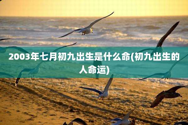2003年七月初九出生是什么命(初九出生的人命运)