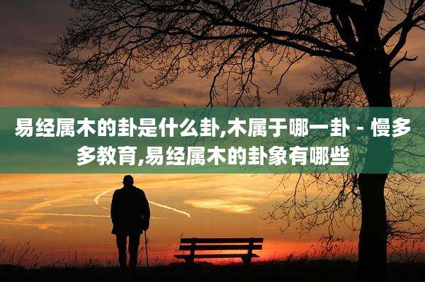易经属木的卦是什么卦,木属于哪一卦 - 慢多多教育,易经属木的卦象有哪些