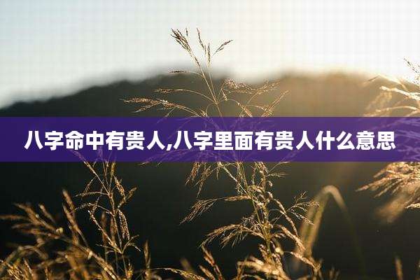 八字命中有贵人,八字里面有贵人什么意思