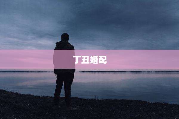 丁丑婚配