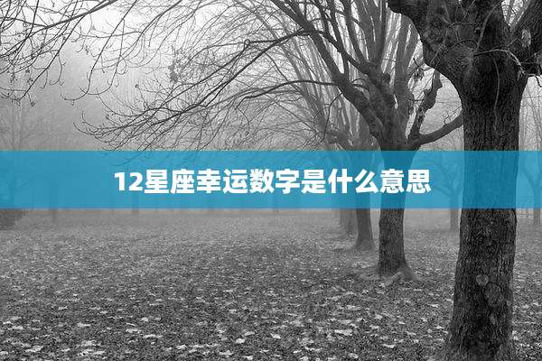 12星座幸运数字是什么意思