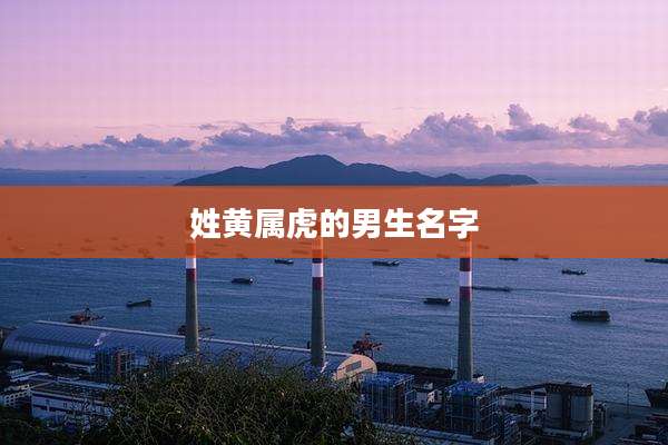 姓黄属虎的男生名字