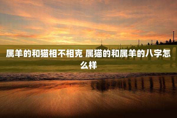 属羊的和猫相不相克 属猫的和属羊的八字怎么样