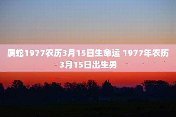 属蛇1977农历3月15日生命运 1977年农历3月15日出生男