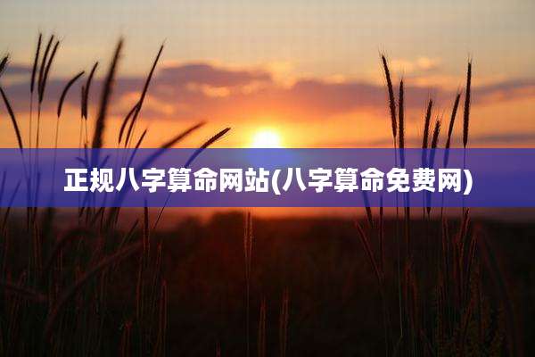 正规八字算命网站(八字算命免费网)