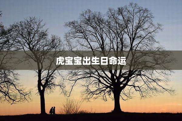 虎宝宝出生日命运