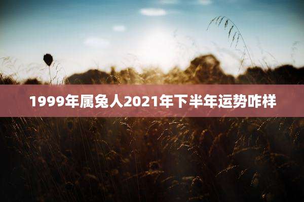 1999年属兔人2021年下半年运势咋样