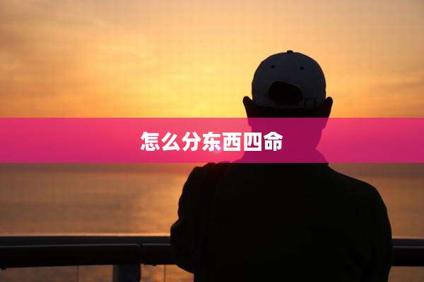 怎么分东西四命