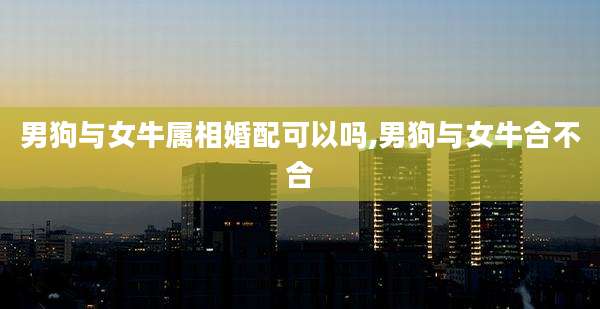 男狗与女牛属相婚配可以吗,男狗与女牛合不合