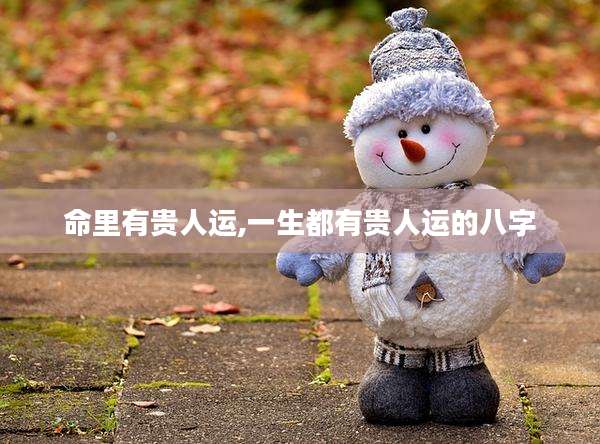 命里有贵人运,一生都有贵人运的八字