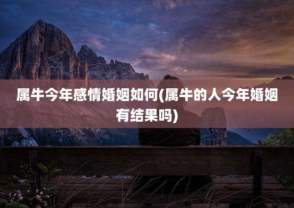 属牛今年感情婚姻如何(属牛的人今年婚姻有结果吗)