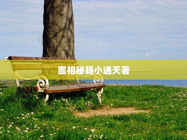 面相秘籍小通天著