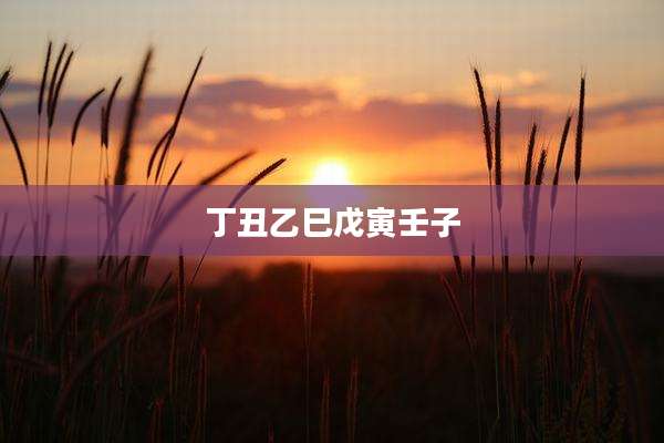 丁丑乙巳戊寅壬子