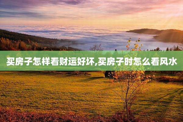 买房子怎样看财运好坏,买房子时怎么看风水